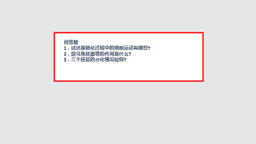 发育生物学神经系统的发育