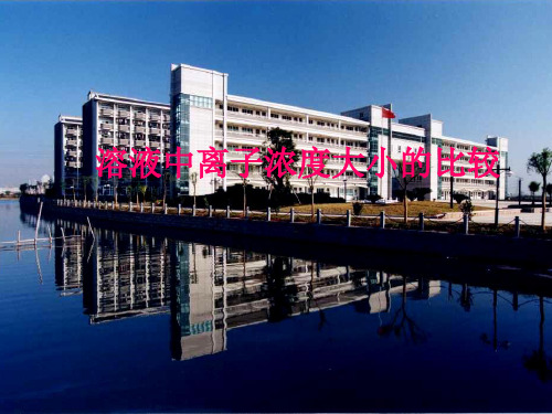 《溶液中的离子浓度大小比较》课件