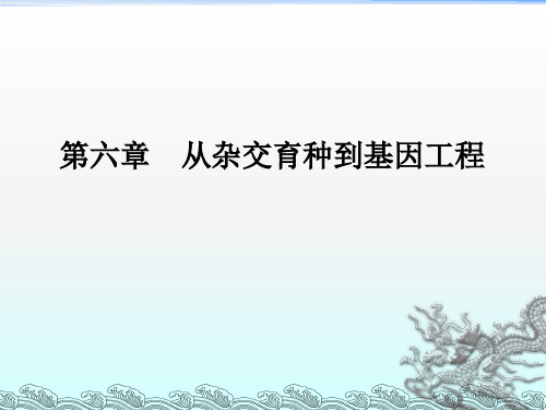 高中生物第六章从杂交育种到基因工程