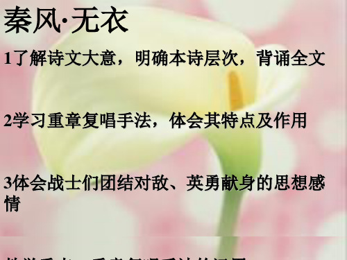 秦风·无衣PPT(优秀课件)5 人教版