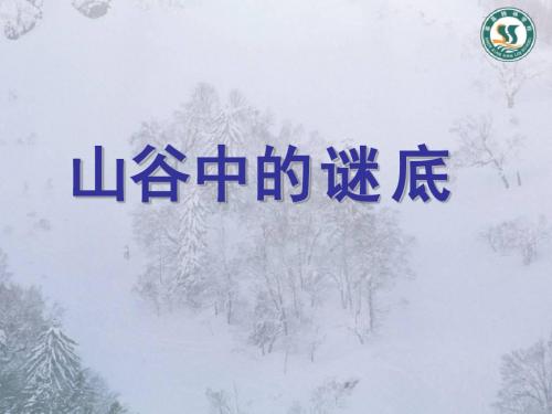 《山谷中的谜底》课件