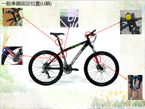 首师大版小学科学教学课件六年级下册《7.自行车的形式》2