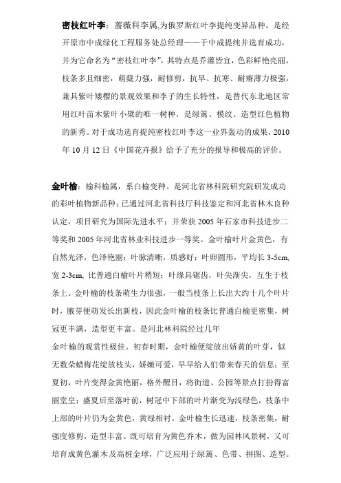 密枝红叶李、金叶榆简介
