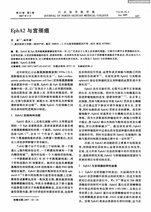 EphA2与宫颈癌