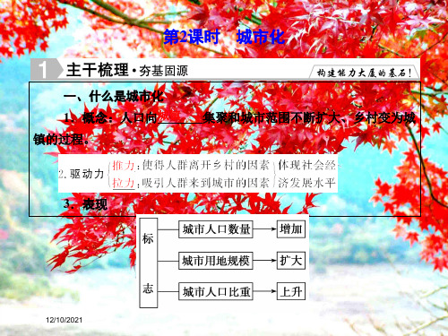 高考地理总复习2城市化课件高三全册地理课件_1