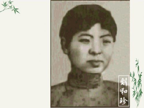 记念刘和珍君PPT(优秀课件)22 人教版