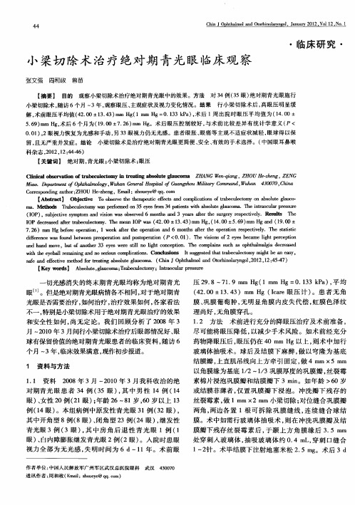 小梁切除术治疗绝对期青光眼临床观察