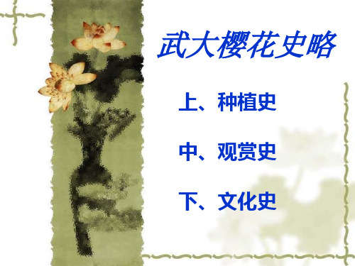 武汉大学介绍_ppt