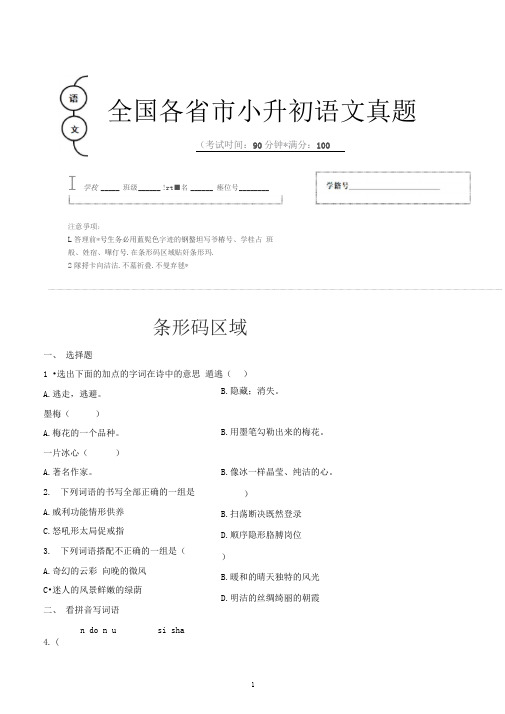 【小升初】2020年安徽省马鞍山市小升初语文毕业会考试题含答案(全网唯一)