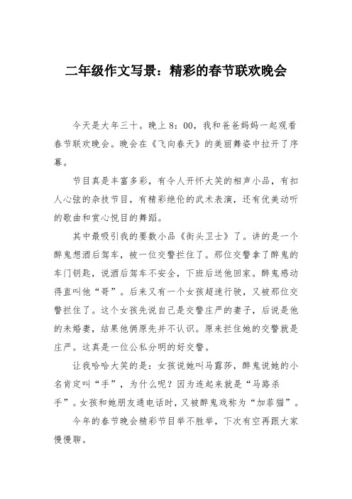二年级作文写景：精彩的春节联欢晚会