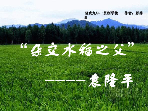语文版八上《杂交水稻之父-袁隆平》ppt课件