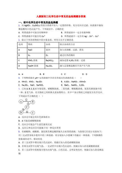 人教版初三化学生活中常见的盐检测题含答案