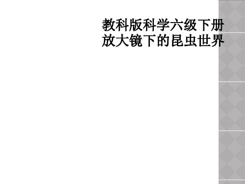 教科版科学六级下册放大镜下的昆虫世界