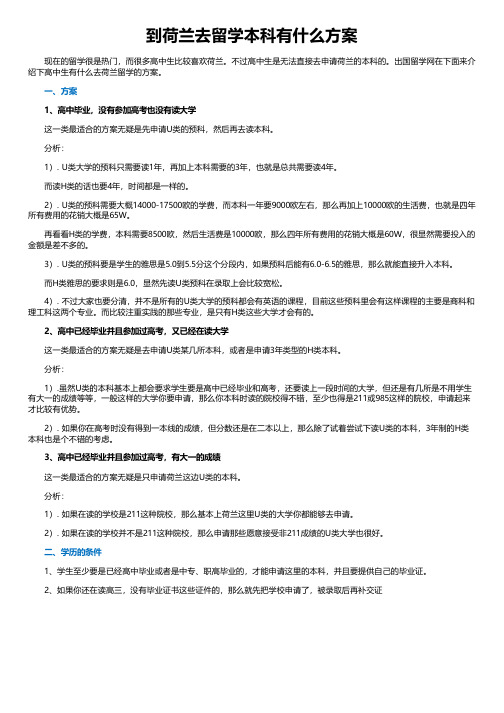 到荷兰去留学本科有什么方案
