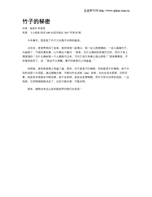 竹子的秘密