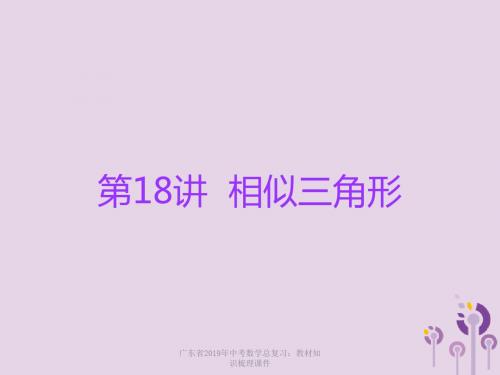 广东省2019年中考数学总复习第一部分知识梳理第四章三角形第18讲相似三角形课件