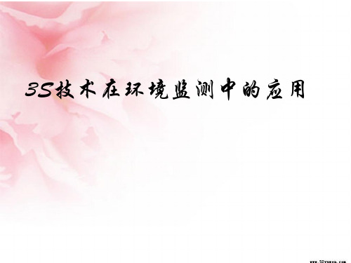 3S技术在环境监测中的应用
