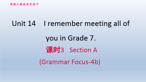 2021春人教版九年级英语下册 Unit 14 课时3 Section A