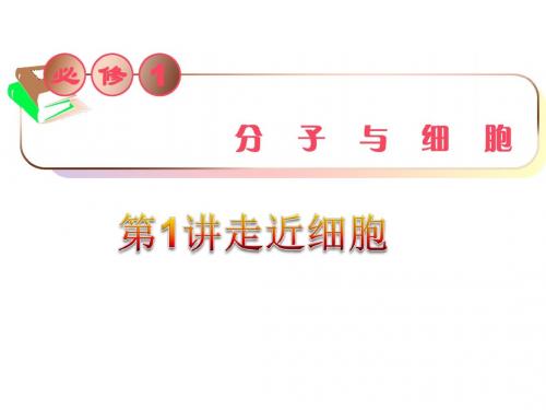 2013届高三生物复习课件走近细胞