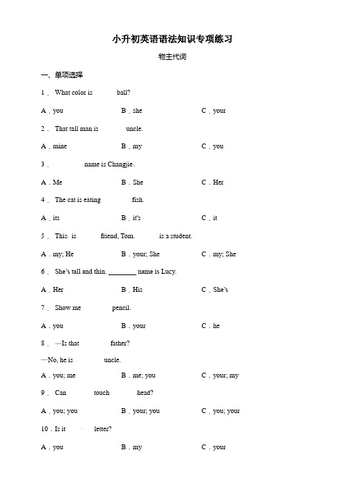 小升初英语语法专项练习-【物主代词】全国通用(含答案及详细解析)