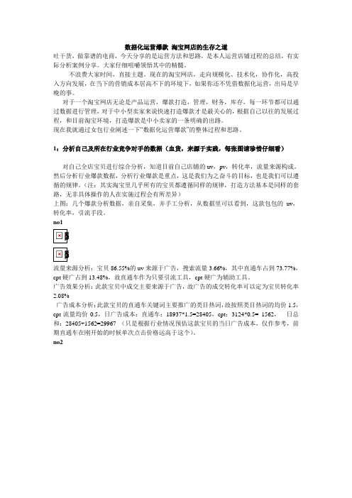 数据化运营爆款-淘宝网店的生存之道
