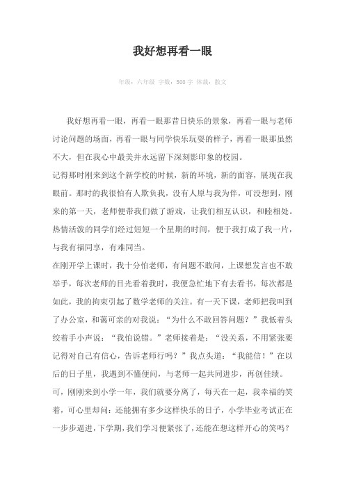 我好想再看一眼500字作文