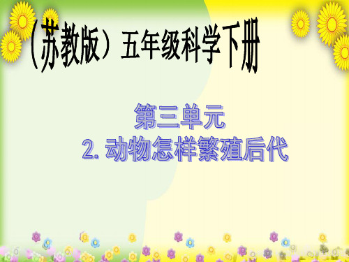 小学科学五下《动物怎样繁殖后代》PPT 公开课一等奖课件(1)