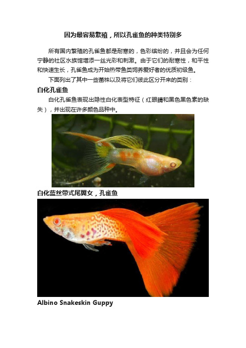 因为最容易繁殖，所以孔雀鱼的种类特别多