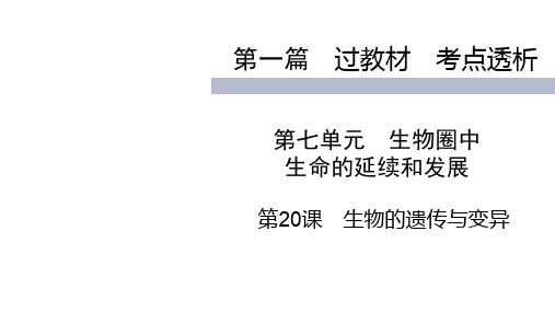 2020届九年级中考人教版生物(四川)复习课件：第1篇 第20课生物的遗传与变异  (共71张PPT)