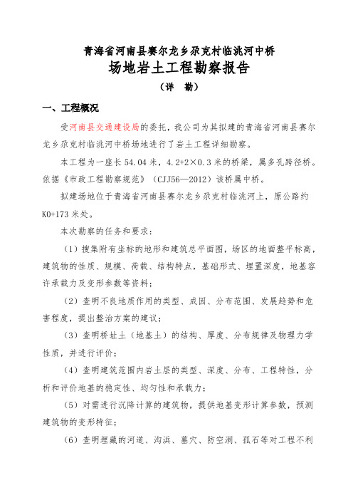 赛尔龙临洮河中桥地勘报告