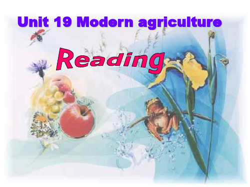 下学期19reading(guo)