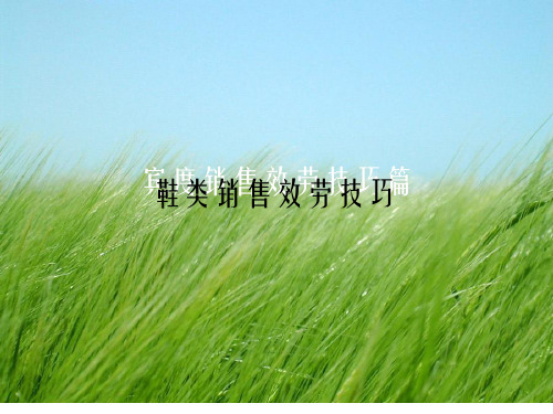 《鞋类销售服务技巧》PPT幻灯片PPT