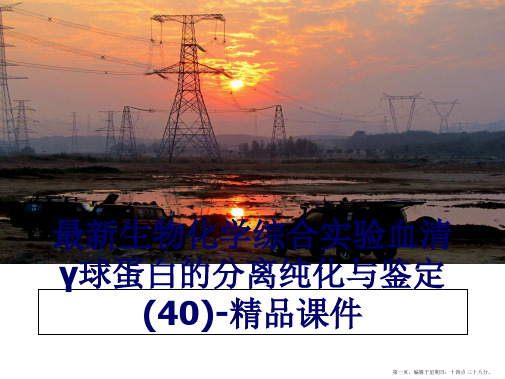 最新生物化学综合实验血清γ球蛋白的分离纯化与鉴定(40)-精品课件