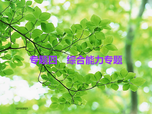 中考物理总复习 专题四 综合能力专题课件 粤教沪粤教沪级物理课件