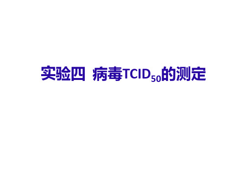 《动物病毒学实验》课件：实验四  病毒TCID50的测定2016-04-05
