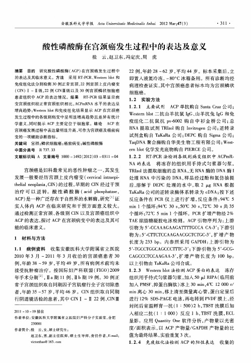 酸性磷酸酶在宫颈癌发生过程中的表达及意义