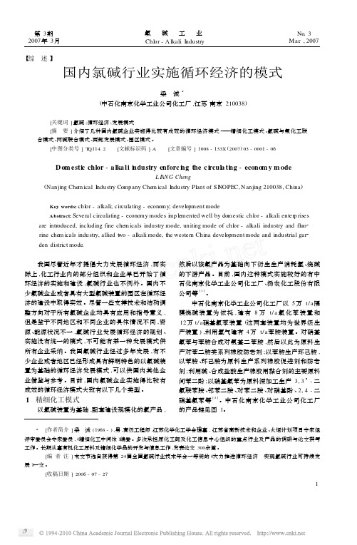 国内氯碱行业实施循环经济的模式