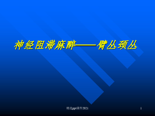 臂丛颈丛神经阻滞麻醉PPT课件