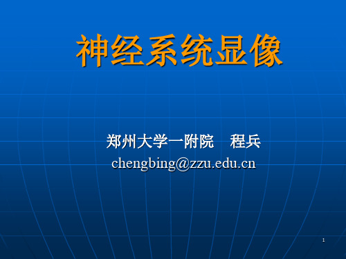 脑显像2012