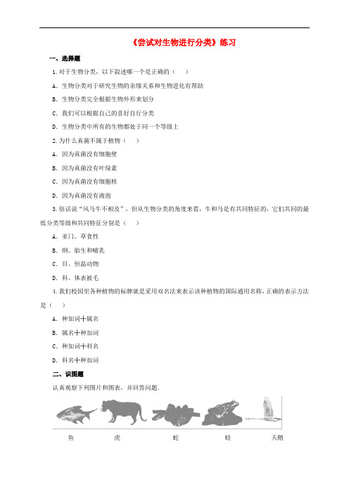 八年级生物上册 第六单元 1.1 尝试对生物进行分类同步练习 新人教版