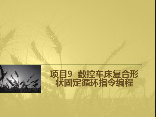 数控车床复合形状固定循环指令编程