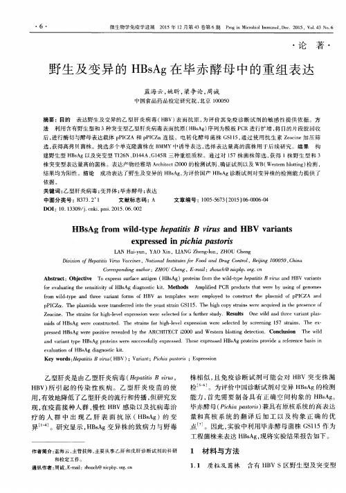 野生及变异的 HBsAg 在毕赤酵母中的重组表达