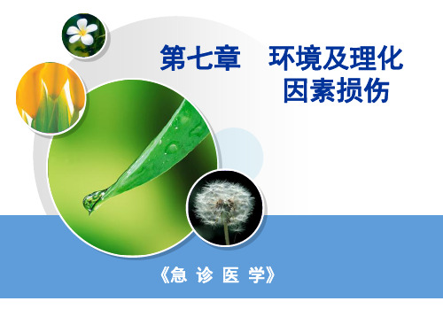 环境及理化因素损伤《急诊医学》ppt课件精品文档