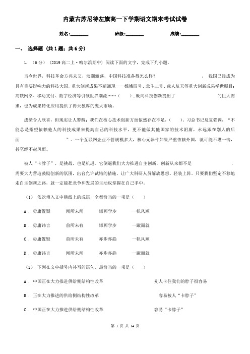 内蒙古苏尼特左旗高一下学期语文期末考试试卷