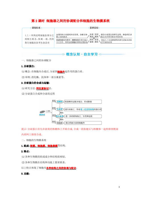 新教材高中生物第3章第2节第2课时细胞器之间的协调配合和细胞的生物膜系统学案新人教版必修1