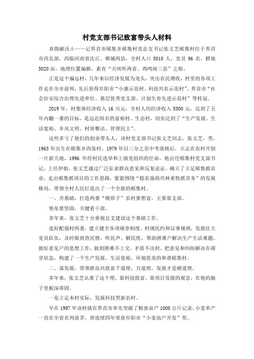 最新-村党支部书记致富带头人材料 精品