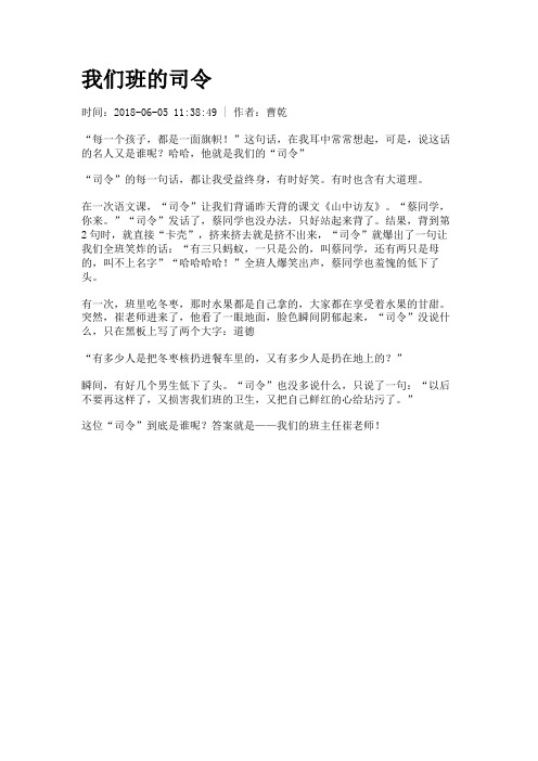 我们班的司令