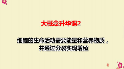 大概念升华课2 细胞的生命活动需要能量和营养物质,并通过分裂实现增殖