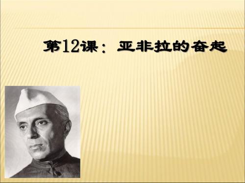 【初中历史】亚非拉的奋起PPT课件11