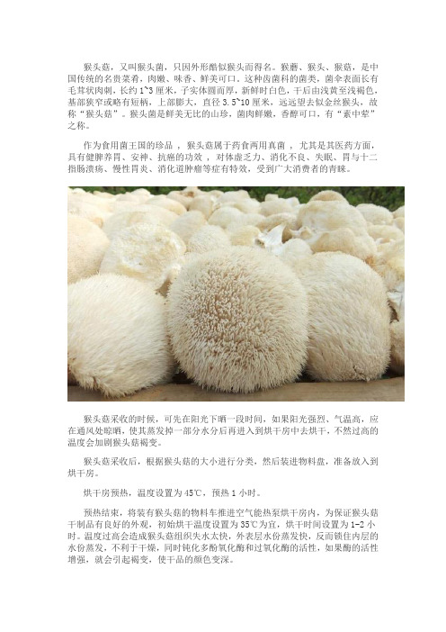 技术控：原来,猴头菇是这样烘干的!
